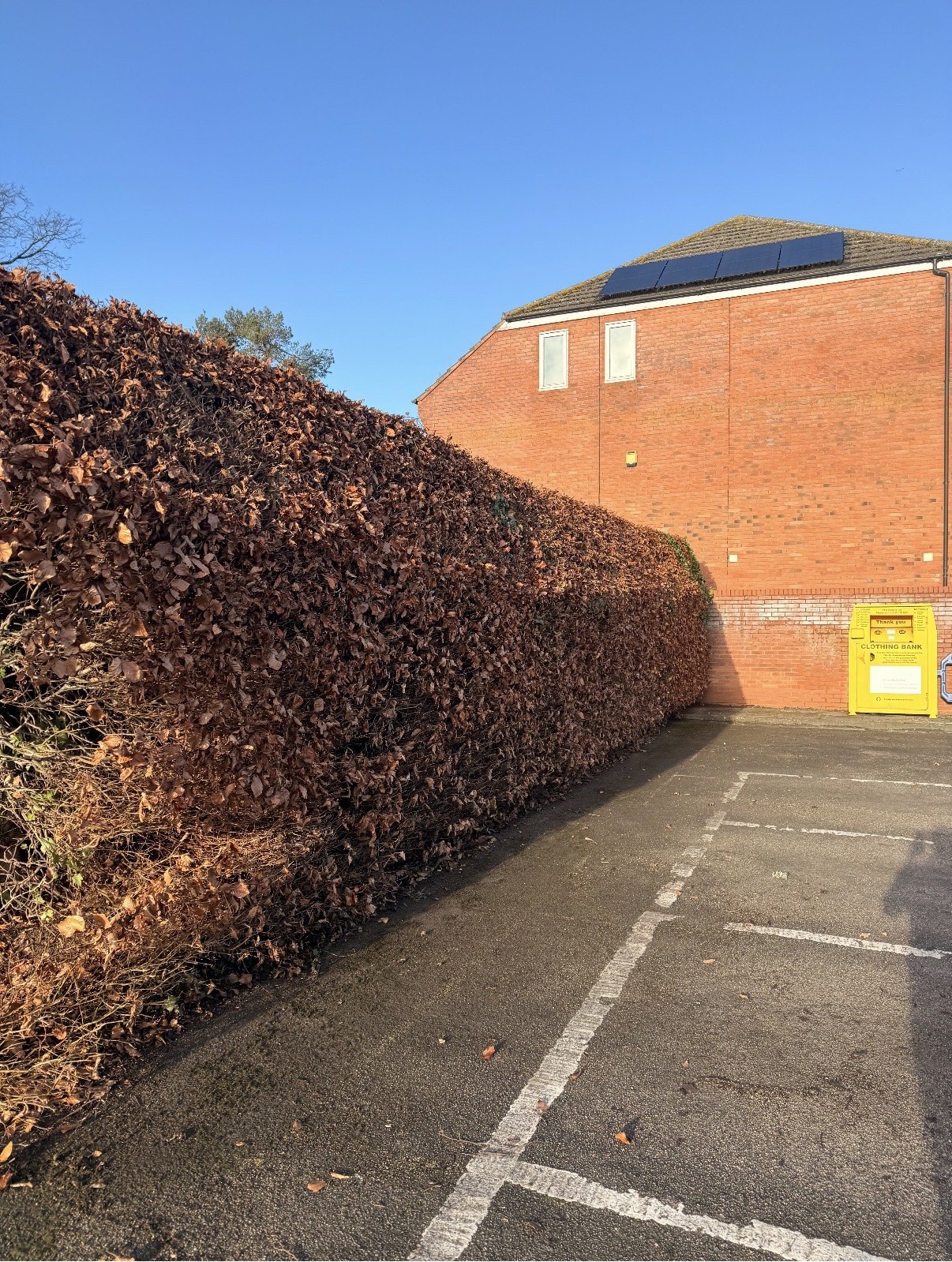 Commercial hedge work