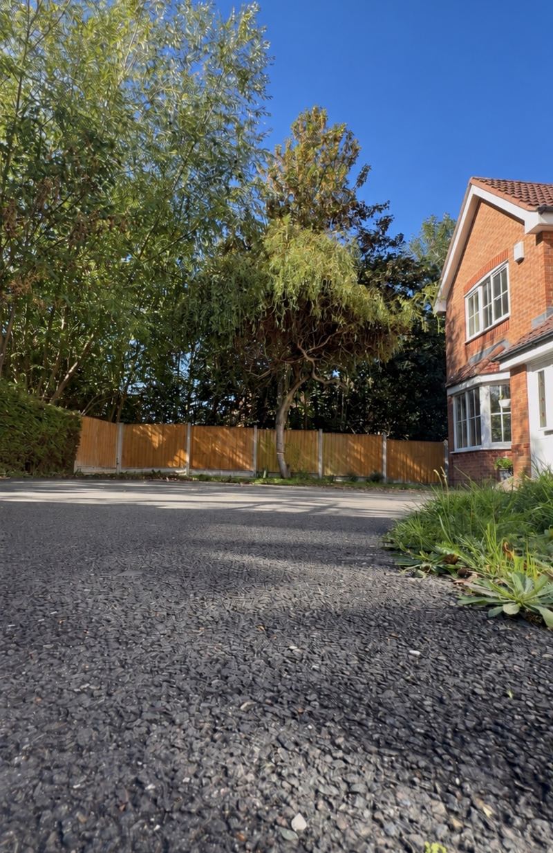 Before: a tree standing in front of a wooden garden fence, beside a driveway and a red-brick house, Newbold and Brownsover, Rugby